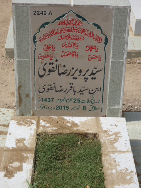 12249 – Syed Parveez Raza Naqvi