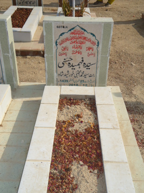 16074 – Syeda Fehmeeda Husni