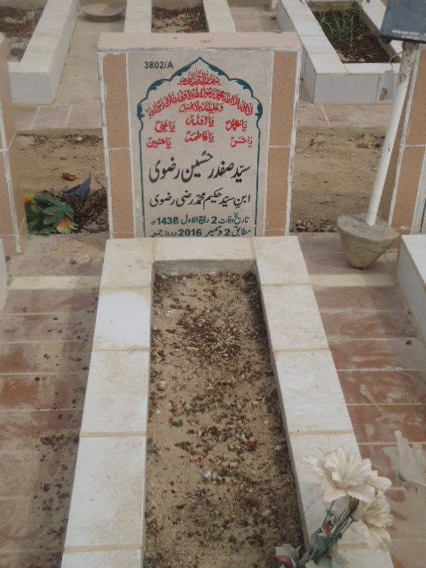 13802 – Syed Safdar Hussain Rizvi