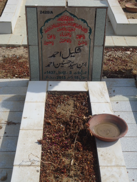 12420 – Shakeel Ahmed