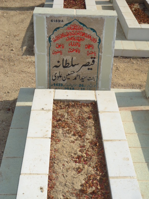 16189 – Qaisar Sultana