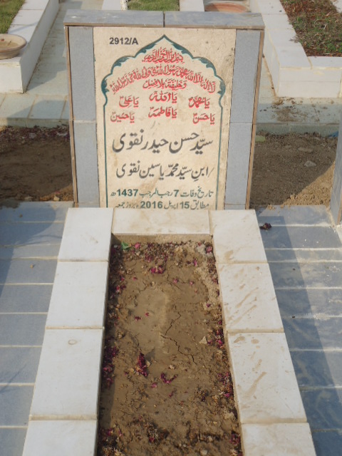 12912 – Syed Hassan Haider Naqvi