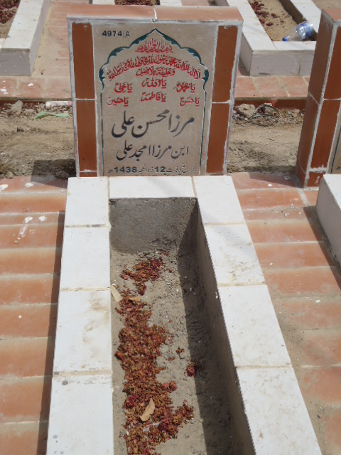 14974 – Mirza Mohsin Ali