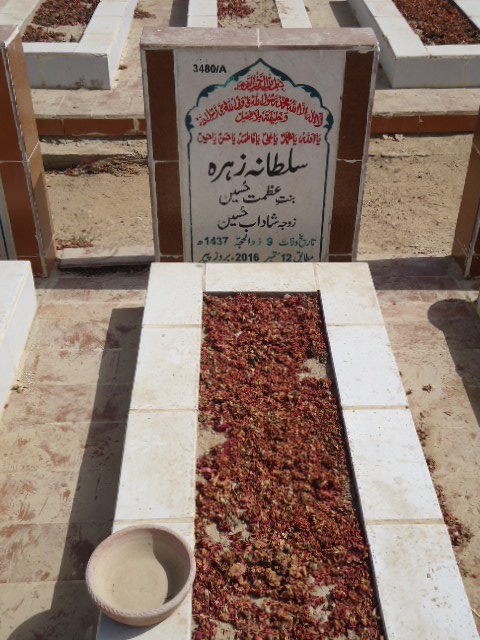 13480 – Sultana Zehra