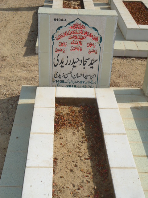16194 – Syed Sajjad Haider Zaidi