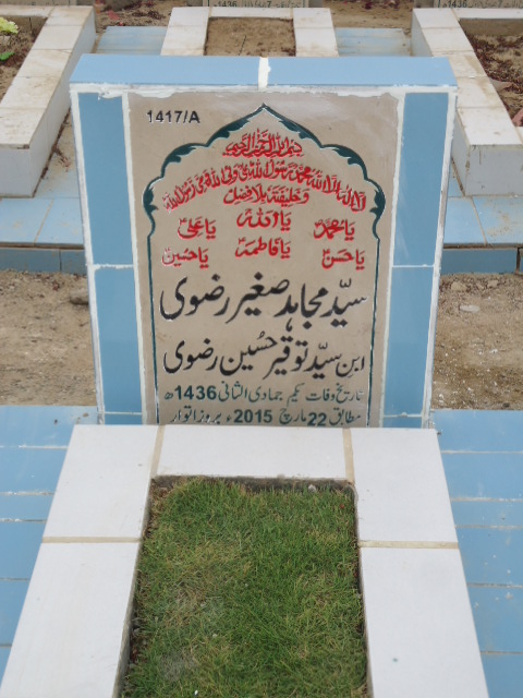 11417 – Syed Mujahid Sagheer Rizvi