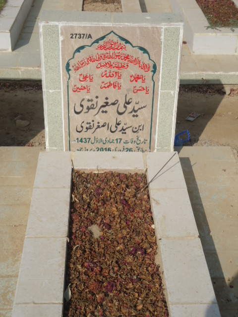 12737 – Syed Ali Sagheer Naqvi