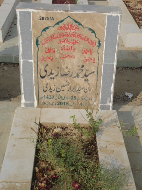 12875 – Syed Muhammad Raza Zaidi