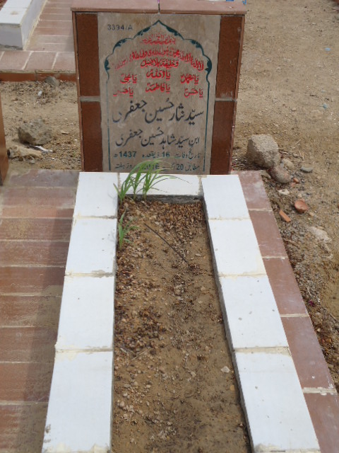 13394 – Syed Nisar Hussain Jaffery