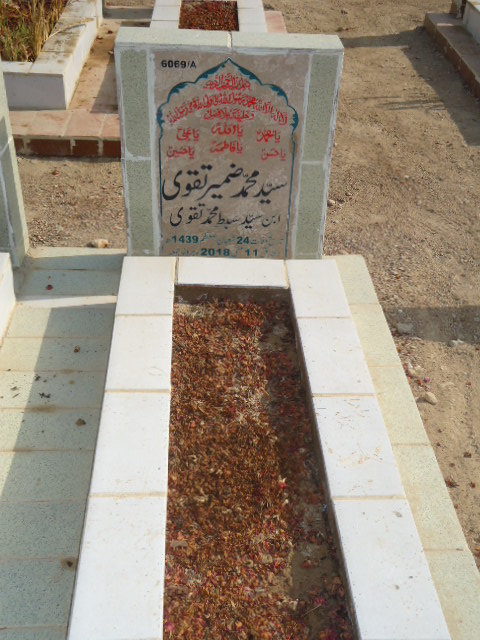16069 – Syed Muhammad Zameer Taqvi