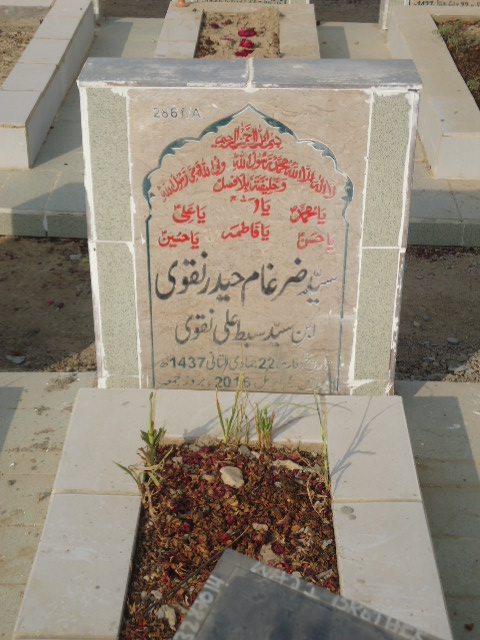 12861 – Syed Zargham Haider Naqvi