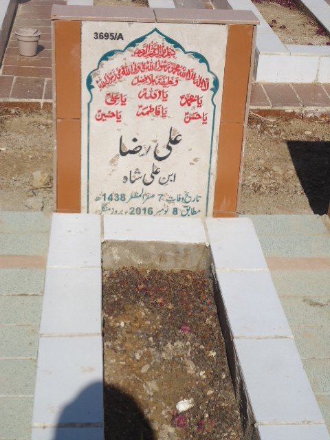 13695 – Ali Raza