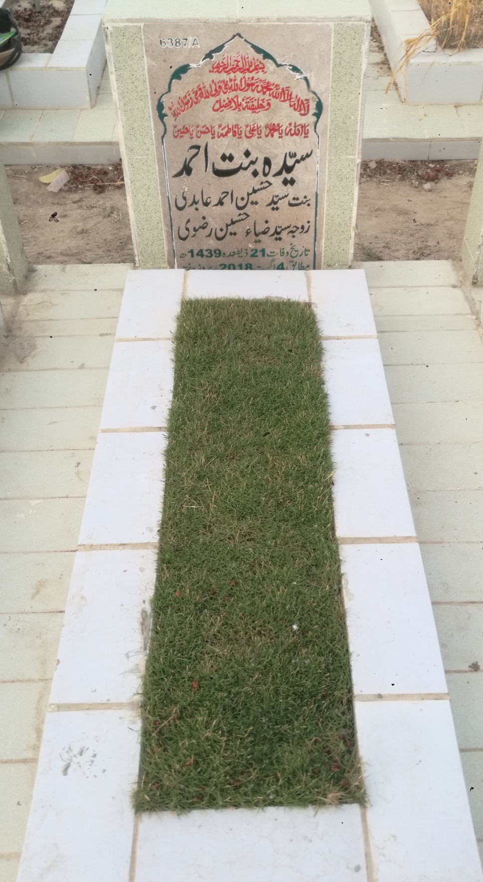 16387 – Syeda Binte Ahmed
