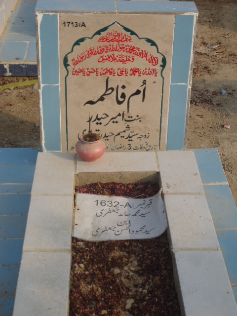 11713 – Umay Fatima