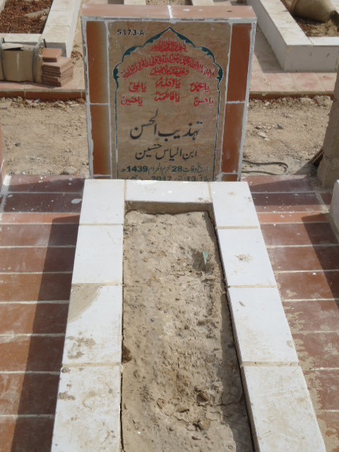 15173 – Tehzeeb Ul Hassan