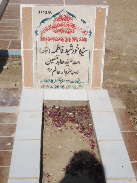 13713 – Syeda Khursheed Fatima