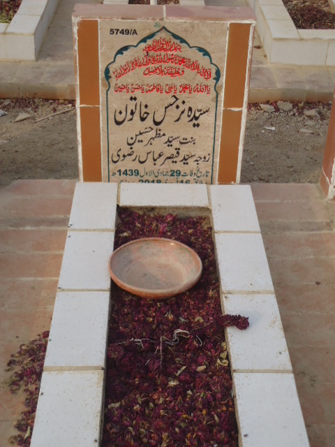 15749 – Syeda Narjis Khatoon