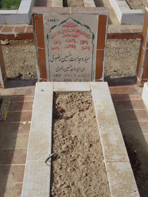 13460 – Syed Wajahat Hussain Rizvi