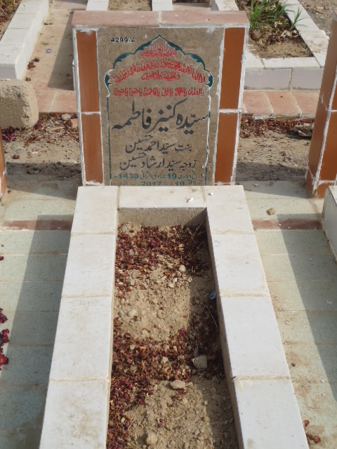 14299 – Syeda Kaneez Fatima