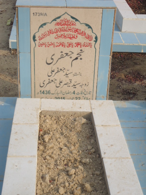 11739 – Najam Jaffery