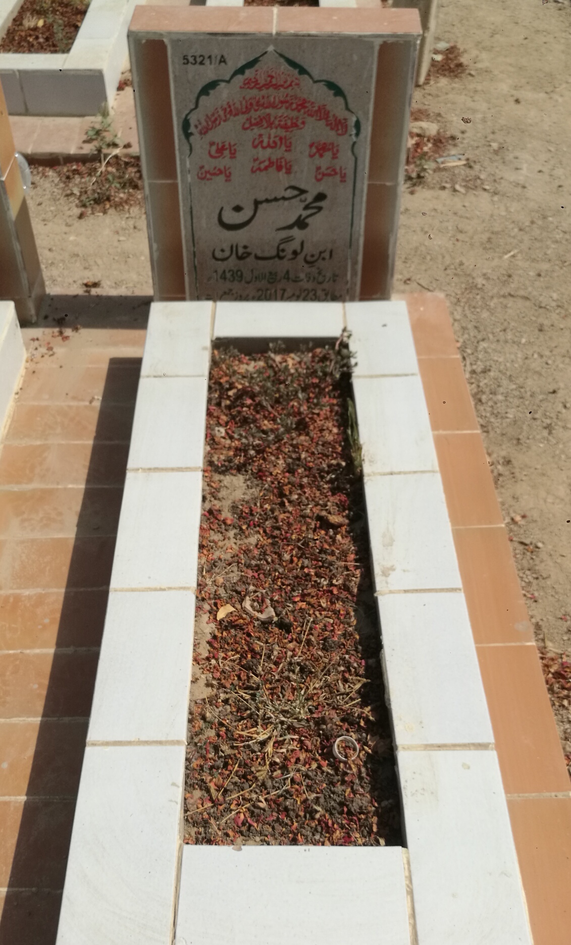 15321 – Muhammad Hassan