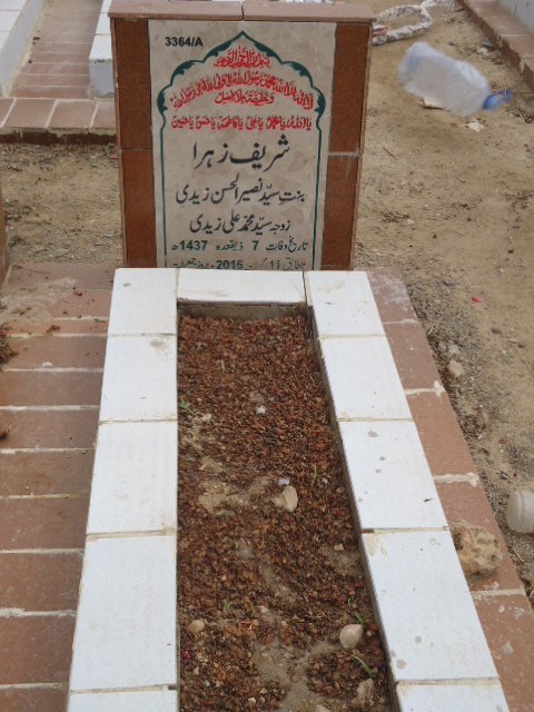 13364 – Shareef Zehra
