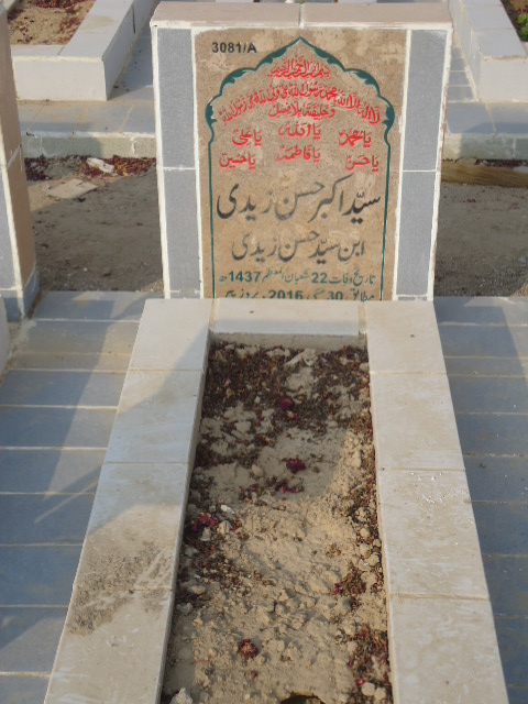 13081 – Syed Akbar Hassan Zaidi