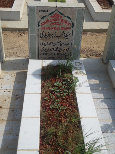 12356 – Syeda Muhib Zehra Zaidi