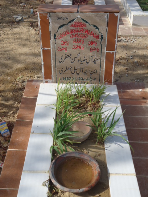 13413 – Syed Alay Zia Mohsin Jaffery