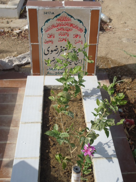13417 – Syed Muhammad Ghazanfar Rizvi