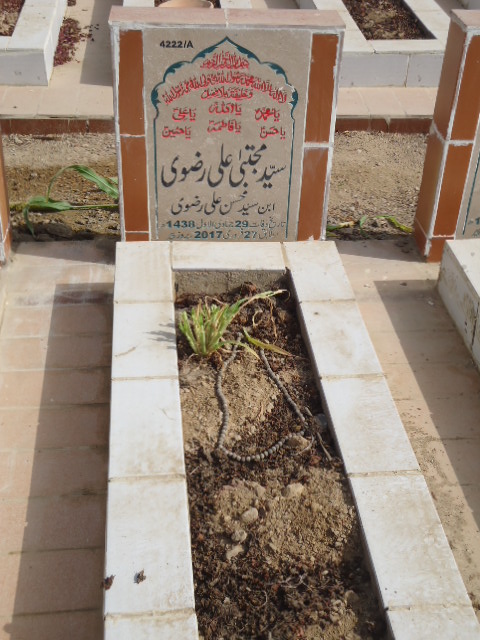 14222 – Syed Mujhtaba Ali Rizvi