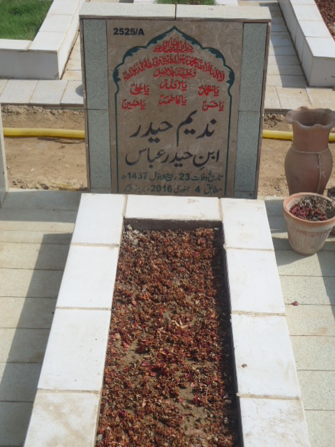 12525 – Nadeem Haider