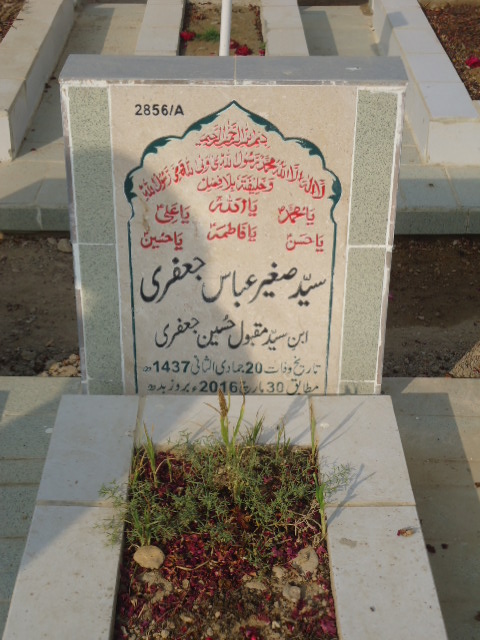 12856 – Syed Sagheer Abbas Jaffery