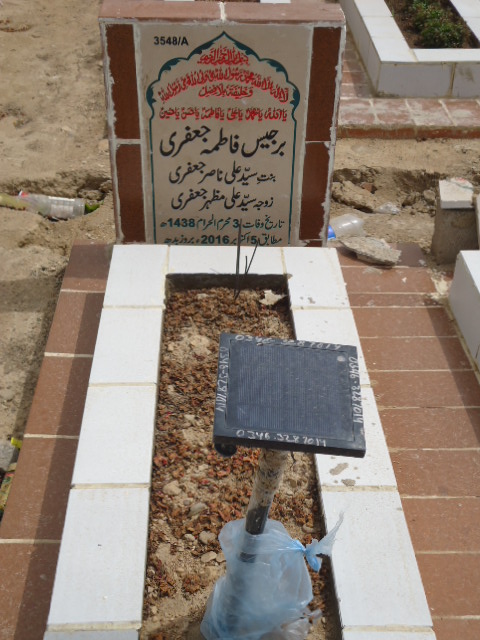 13548 – Berjees Fatima Jaffery