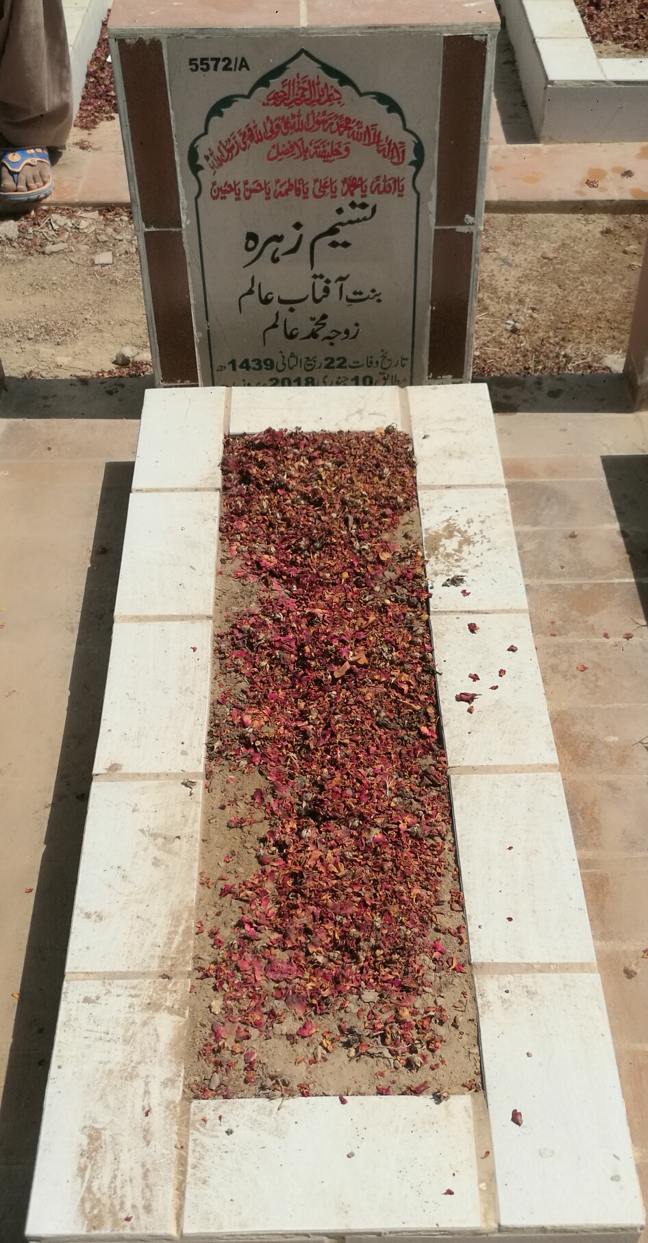 15572 – Tasneem Zehra