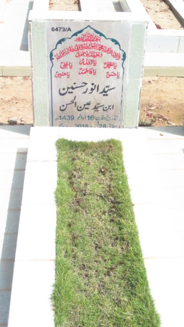 16473 – Syed Anwar Hasnain