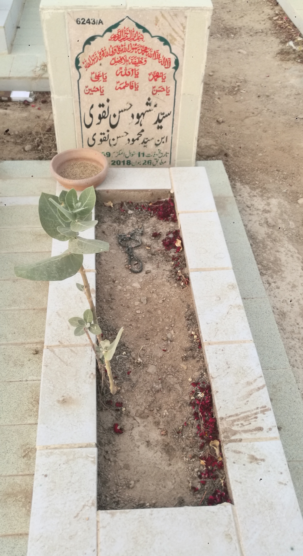 16243 – Syed Mashood Hassan Naqvi