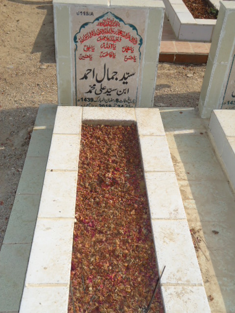 16115 – Syed Jamal Ahmed