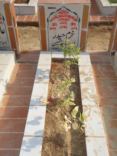 15853 – Khurram Haider
