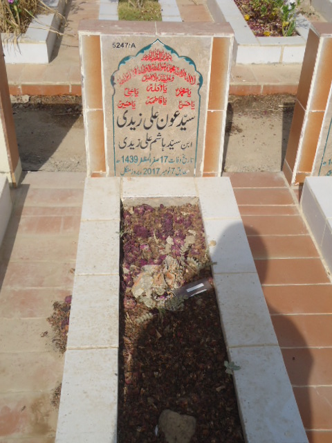 15247 – Syed Awn Ali Zaidi