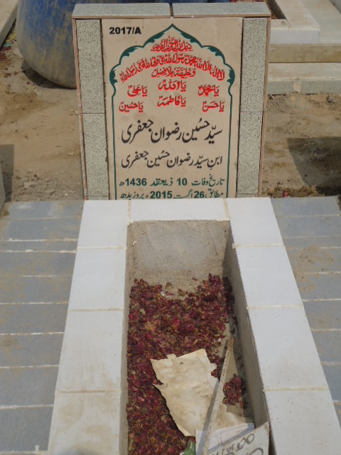 12017 – Syed Hussain Rizwan Jaffery