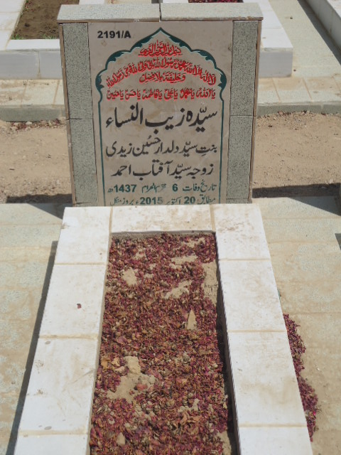 12191 – Syeda Zaib Un Nisa