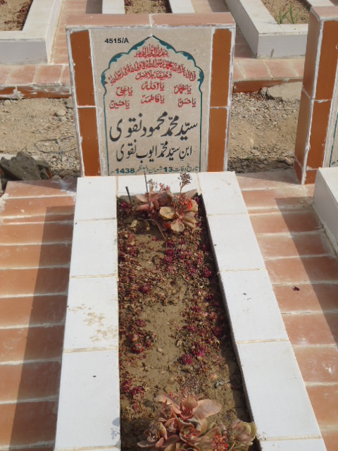 14515 – Syed Muhammad Mehmood Naqvi