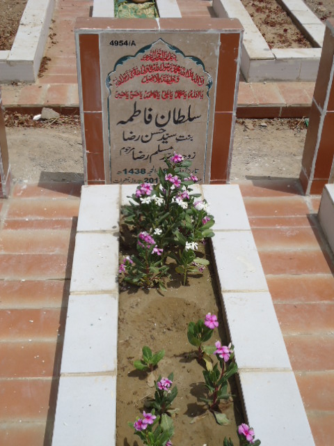 14954 – Sultan Fatima