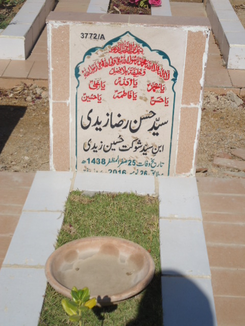 13772 – Syed Hassan Raza Zaidi