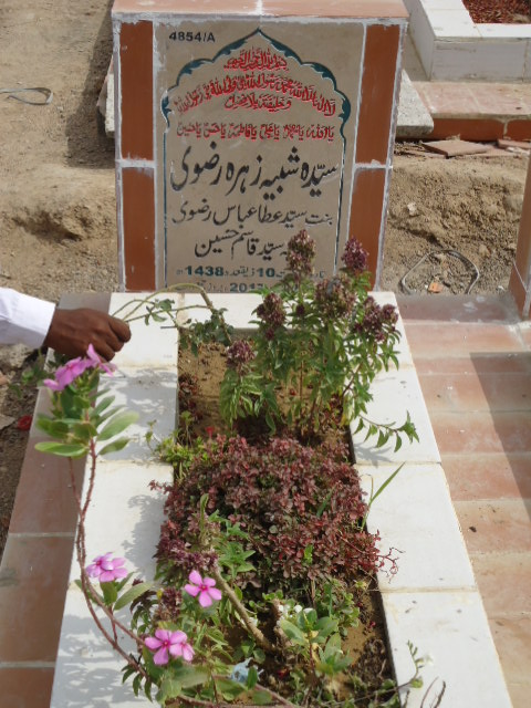14854 – Syeda Shabhi Zerha Rizvi