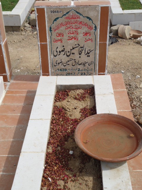 15048 – Syed Ilteja Hussain Rizvi