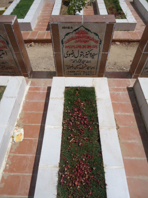 14918 – Syeda Kaneez Batool Rizvi