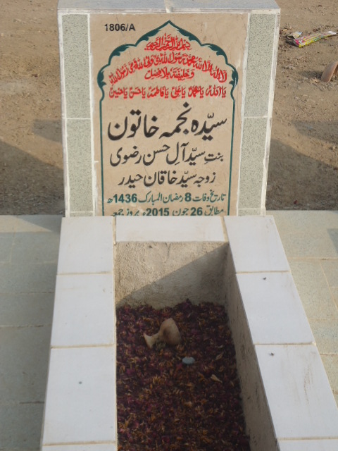 11806 – Syeda Najma Khatoon