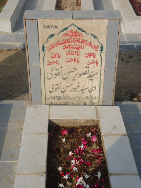 13007 – Syed Tasawar Hassan Naqvi